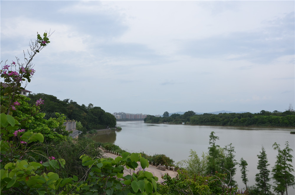 國(guó)務(wù)院：聚焦企業(yè)關(guān)切，進(jìn)一步推動(dòng)優(yōu)化營(yíng)商環(huán)境政策落實(shí)